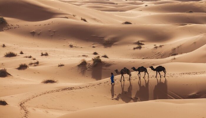 Arab Saudi Mau Sulap Gurun Jadi Danau Raksasa