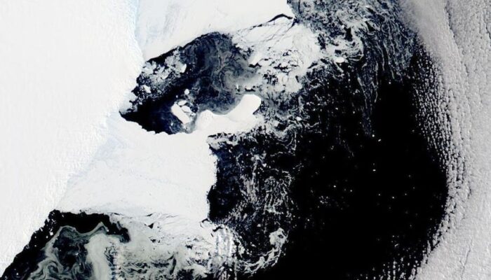Geger Antartika Mendadak Berubah Jadi Hijau, Pertanda Apa?